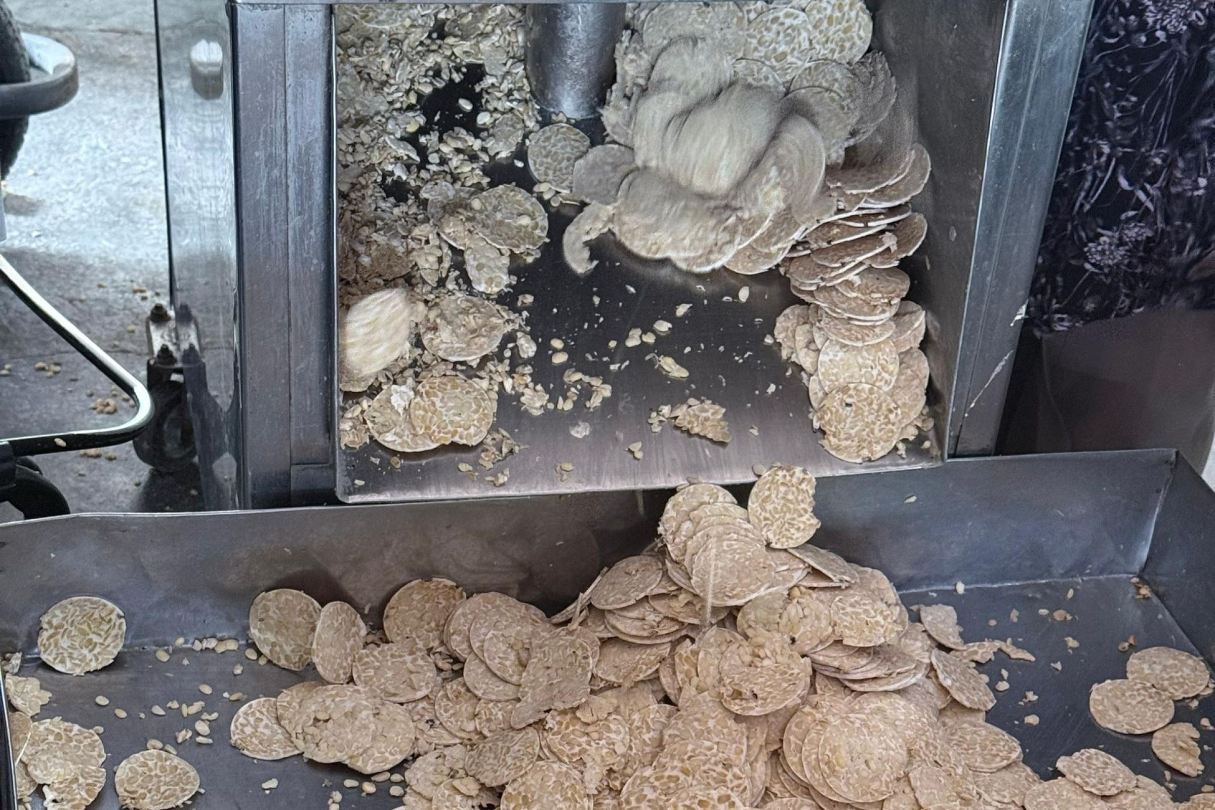 Staf Akademik UTHM Perkasa Industri Tempe Batu Pahat Melalui Lawatan dan Perkongsian Kepakaran